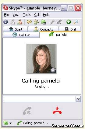Pamela for Skype 4.5.0.108 - виртуальная "секретарша" для  популярной программы IP-телефонии Skype