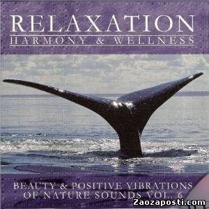 Relaxation Harmony And Wellness - Beauty And Positive Vibrations Of Nature Sounds Vol.6 (2008)