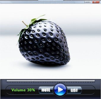ХХХ Online TV Player 2009 v 4.0.0