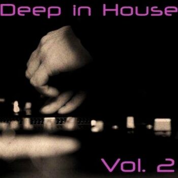 Deep in House Vol. 2 (2009)