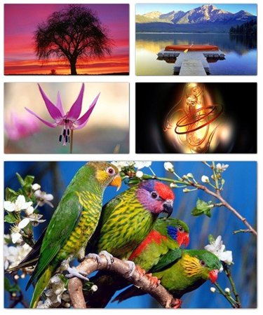 Widescreen Full HD Wallpapers part#7