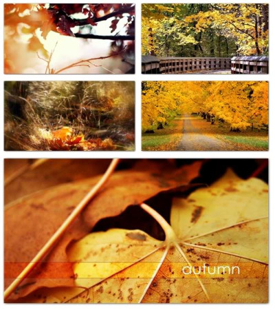 Autumn Wallpapers